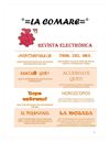 revista electrónica
