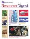 NYU Research DIgest [Spring 2012]
