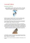 El Folklore Argentino