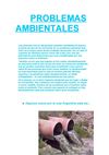 Problemas Ambientales