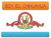 Boy el chihuahua