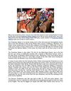 A Quick Rundown on Preakness Stakes Betting
