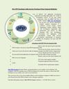 Hire PHP Developer