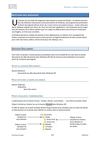 Windows - Gestion des dossiers