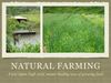 Natural Farming: An introduction to the principles of natural farming and permaculture 