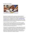 Drug Adjust Can Cure Addiction 