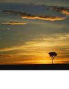 Sky 2nd issue