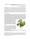Jatropha Curcas and Its Potential Applications