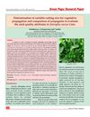 Determination of Suitable Cutting Size for Vegetative Propagation of Jatropha Curcas 