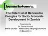 The Potential of Renewable Energies for Socio-Economic Development in Zambia 