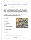 What Are the Most Common Conditions Treated with Physical Therapy