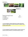 Informe nº2
