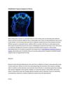 Rehabilitation Programs Designed For Women