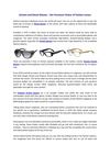 Armani and Diesel Glasses – the Foremost Choice of Fashion Lovers