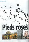 Pieds roses mars 2012 N°431