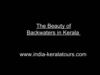 Beauty of Kerala Backwaters