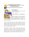 Estado ley Democracia