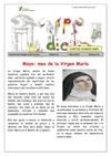 Revista Carpe Diem num 21 mayo3