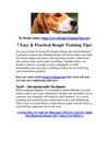 Beagle Training Tips - Seven Easy And Practical Tips!