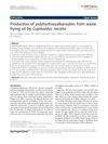 Production of Polyhydroxyalkanoates From Waste Frying Oil By Cupriavidus Necator