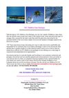 LTC Maldives Tour Packages,LTC Holiday Packages Maldives,LTC Maldives Holiday Tour
