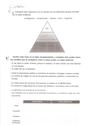 REPASO 6º PRIMARIA. UNIDAD 11. LA EDAD MODERNA. C.MEDIO.