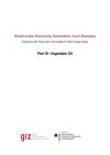 Small-Scale Electricity Generation from Biomass: Vegetable Oil 