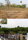 Impact Analysis of A Rural Electrification Project - Four Villages in Mali 