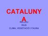 CATALUNYA