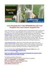 Ansal Megapolis Plots Noida 9999684905,Buy/Sell Ansal Megapolis Plots,Ansal Sushant Megapolis Plots
