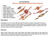 Raksha Bandhan Gifts for Rakhi, Online Rakhi to India, Send Rakhi India