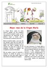 revista carpe diem num22 mayo4