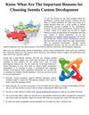 Know What Are The Important Reasons for Choosing Joomla Custom Development