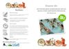 Curso de Actividades dirigidas en el agua con soporte musical