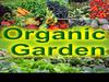 How To Build An Organic Garden