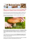 cultivating mushroom - cultivating mushrooms at home - how to plant mushrooms