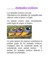 diego prodo 72 | ANIMALES EXOTICOS