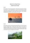 Kingly Cochin and Magical Munnar