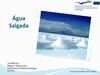 Água salgada - José Didier e Miguel Leão 10CT5.pdf