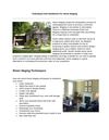 Techniques And Guidelines For Home Staging