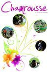 brochure été 2012
