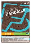 RAPPORT CNSD HANDICAP 2012
