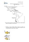Practica Calificada de Mesoamerica