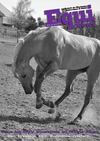 Equi News Rhône Alpes Juillet - Août 2012