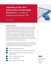 Adapting to the New Information Technology Directives: A Guide for Federal Government CIOs 