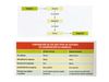 Tema 9. Sistema nervioso