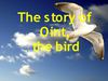 strorybird3