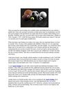 The Best Sports Betting Site