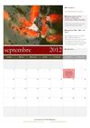 Programme Septembre 2012 - Le petit mandarin