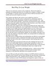 Top Proven How to Lose Weight Fast Tips With Diet Plans to Choose